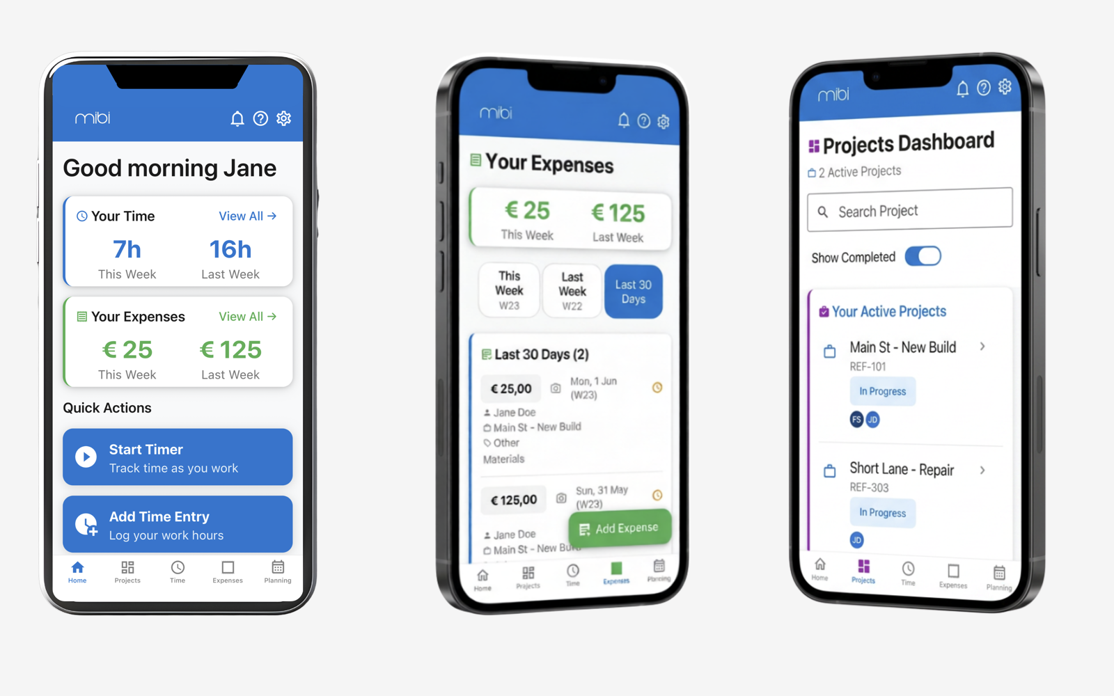 mibi field app – home, projects dashboard and project details on mobile