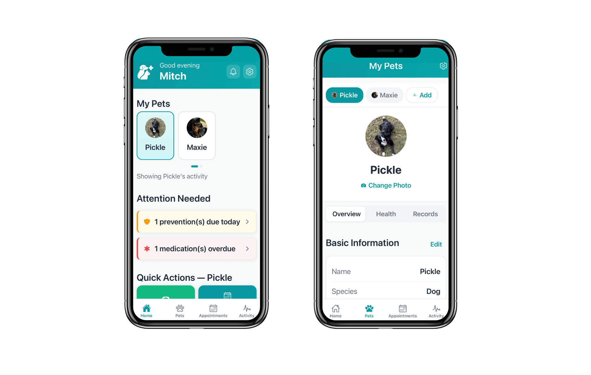 Pet Plus - pet health & care app with APIs to vet clinics